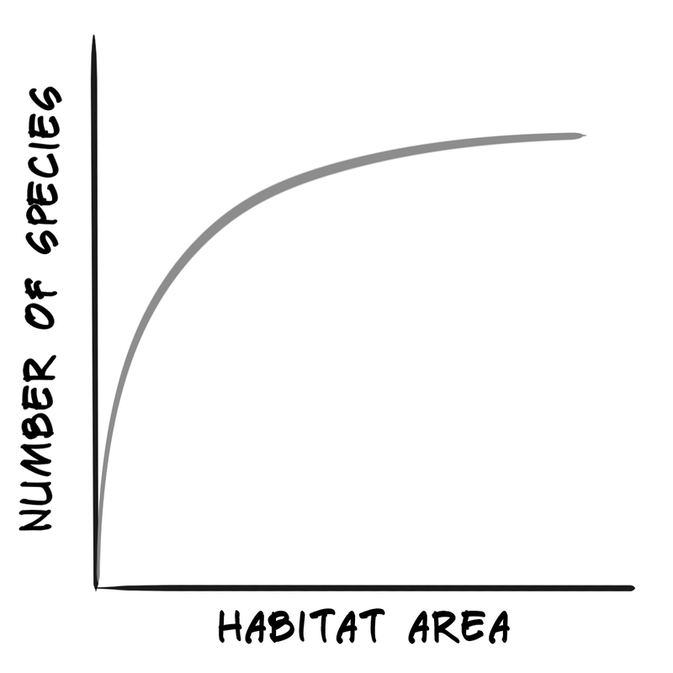 Species-area curve