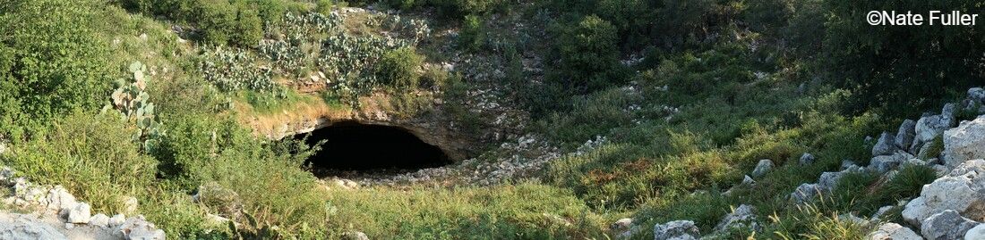 Bracken Cave